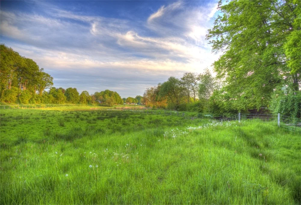 

Laeacco Spring Green Grass Tree Cloudy Blue Sky Outdoor Scenic Photographic Backgrounds Photography Backdrops For Photo Studio