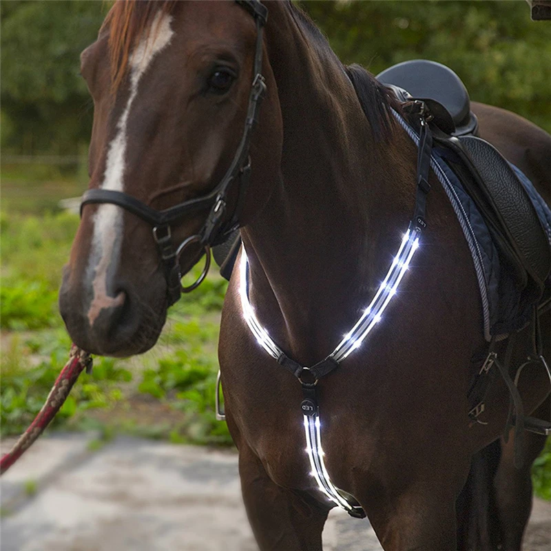 

High Quality Halters Bridle Breastplate Collar High Quality USB Rechargeable LED Horse Harness Night Visible Riding Equestrian A