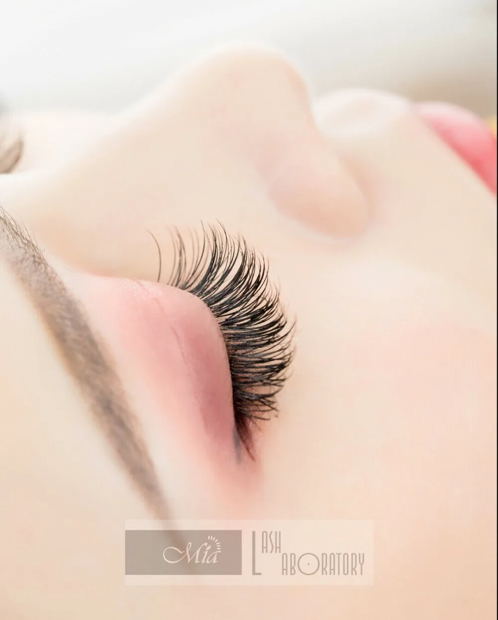 Extensão dos Cílios Permanente por Mia Chicote de Laboratório c d dd 8-15mm Mista Super Macio Lash X-wrap Cashmere Plana Semi 0.15 - 0.20 j b 24 Cheap Cílios postiços