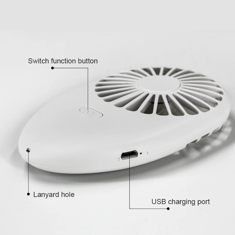 WD1103 (10)
