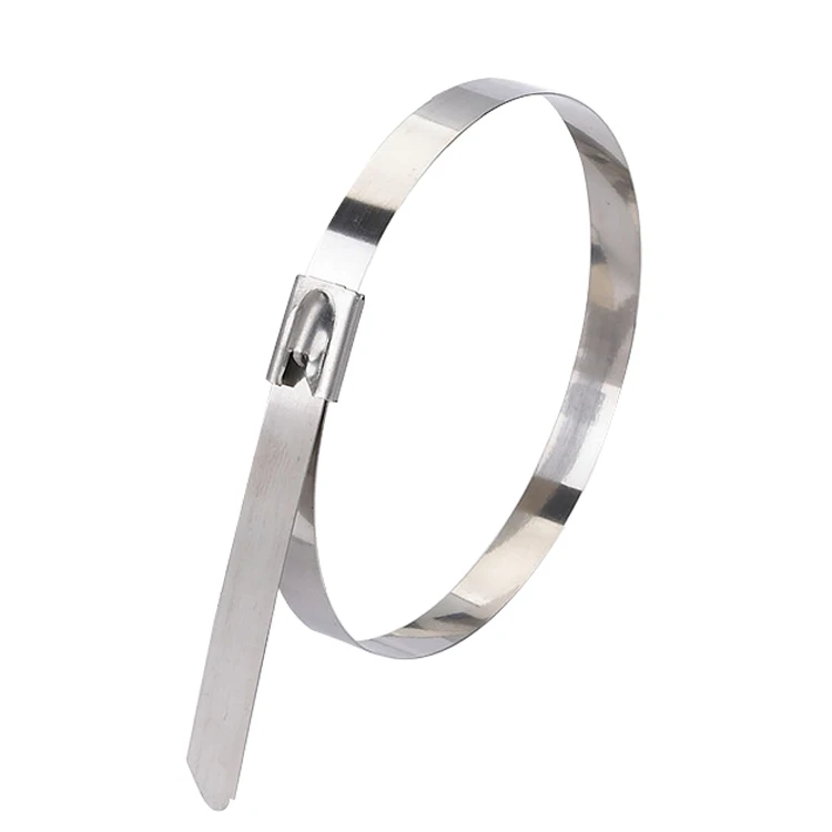 

100pcs 11.8 Inches Stainless Steel Exhaust Wrap Coated Locking Cable Zip Ties