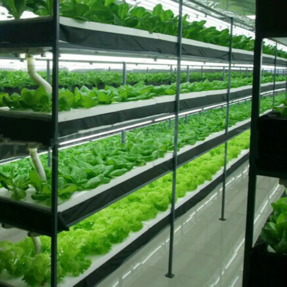 

5Pcs/Set LED Plant Growth Lights Fill Light Garden Flower Greenhouses Lighting Home Gardening Lights Professional Lamp Christmas