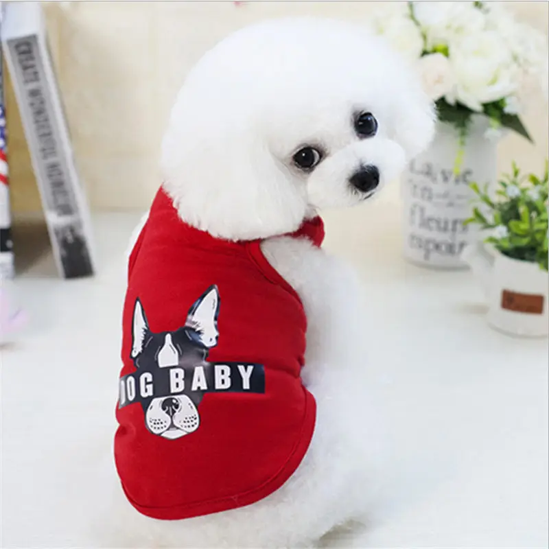 QQ20190301141412 - 