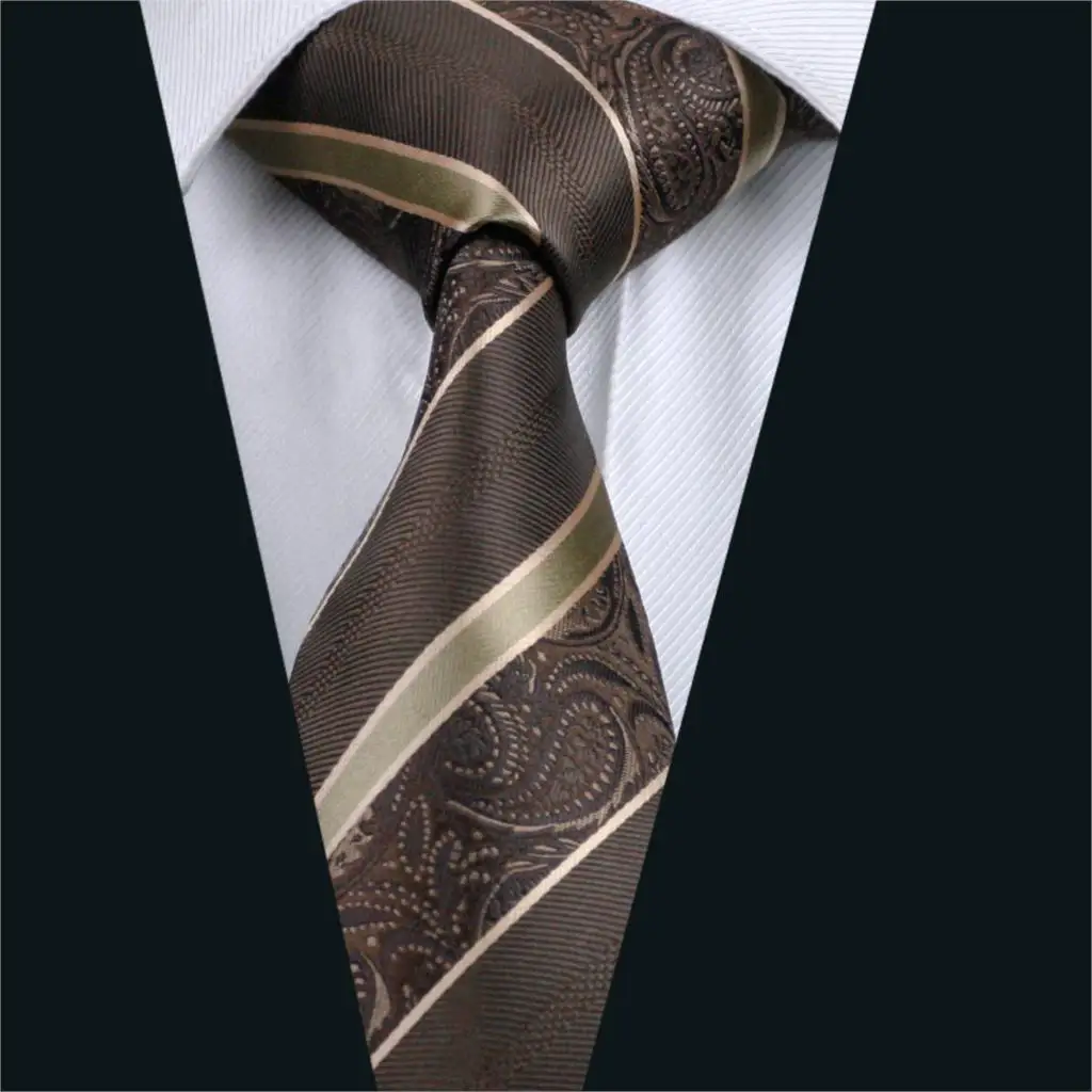 DH 506 Mens Silk Tie Brown Paisley NeckTie Silk Jacquard Ties For Men ...