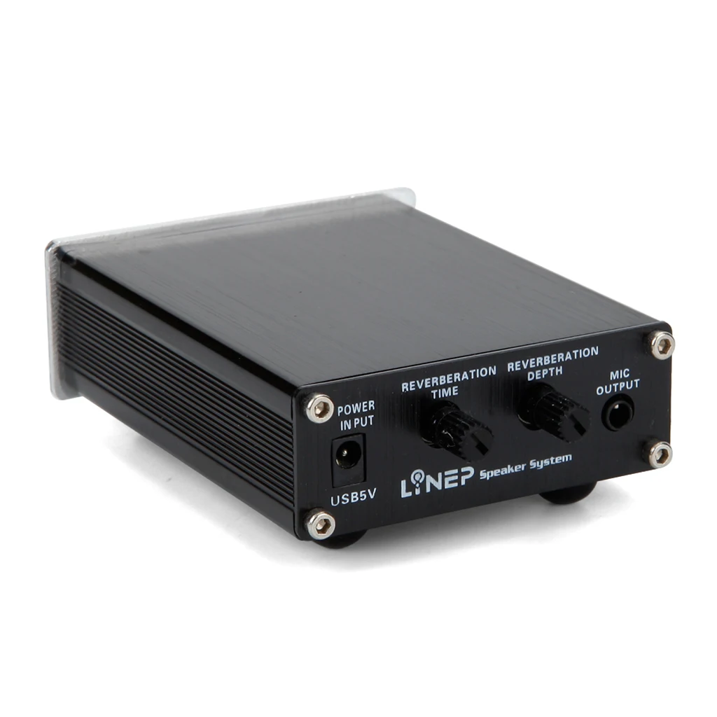 Two-channel HIFI Music Microphone Amplifier Dual Reverb Cable for Microphone Music Recording Equipment