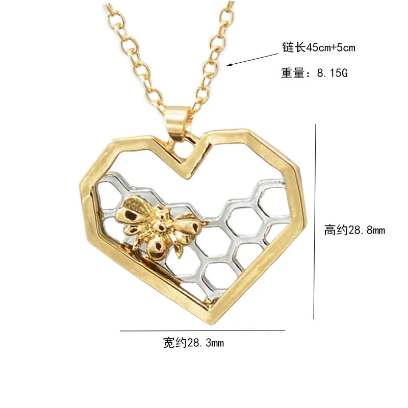 XL026 (5)