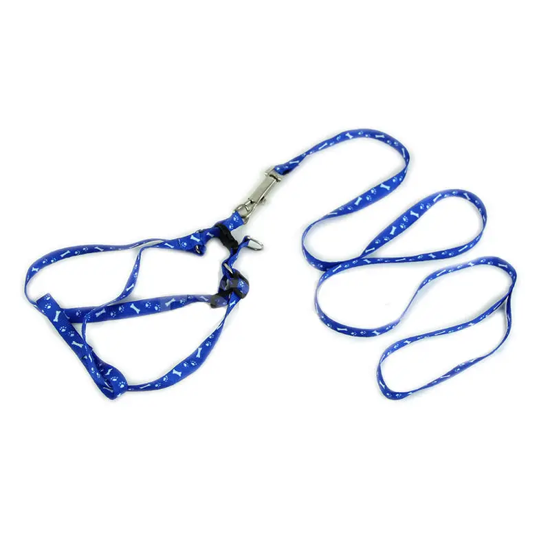 Prativerdi нейлоновый ошейник для собак и кошек Peppy ошейник для собаки безопасности домашних животных светодиодный поводок шнуровой ремень 5 цветов avilable - Цвет: blue