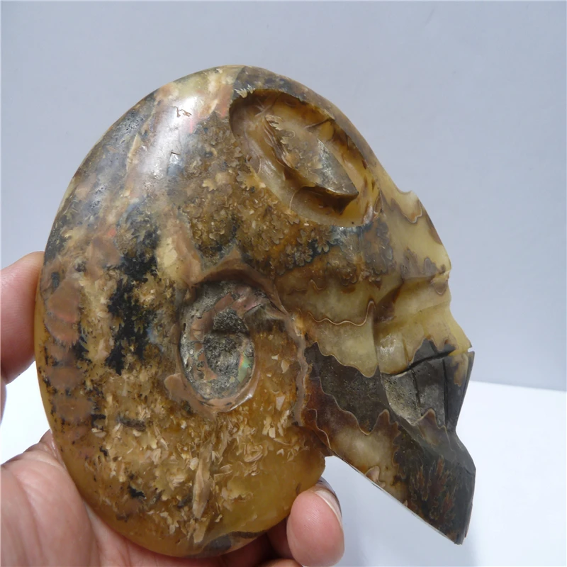 P1420125