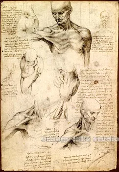 

Da Vinci manuscript Vintage Dissection Painting Pure cotton Canvas Wall Art Picture Home Decoration Living Room Canvas Print A2