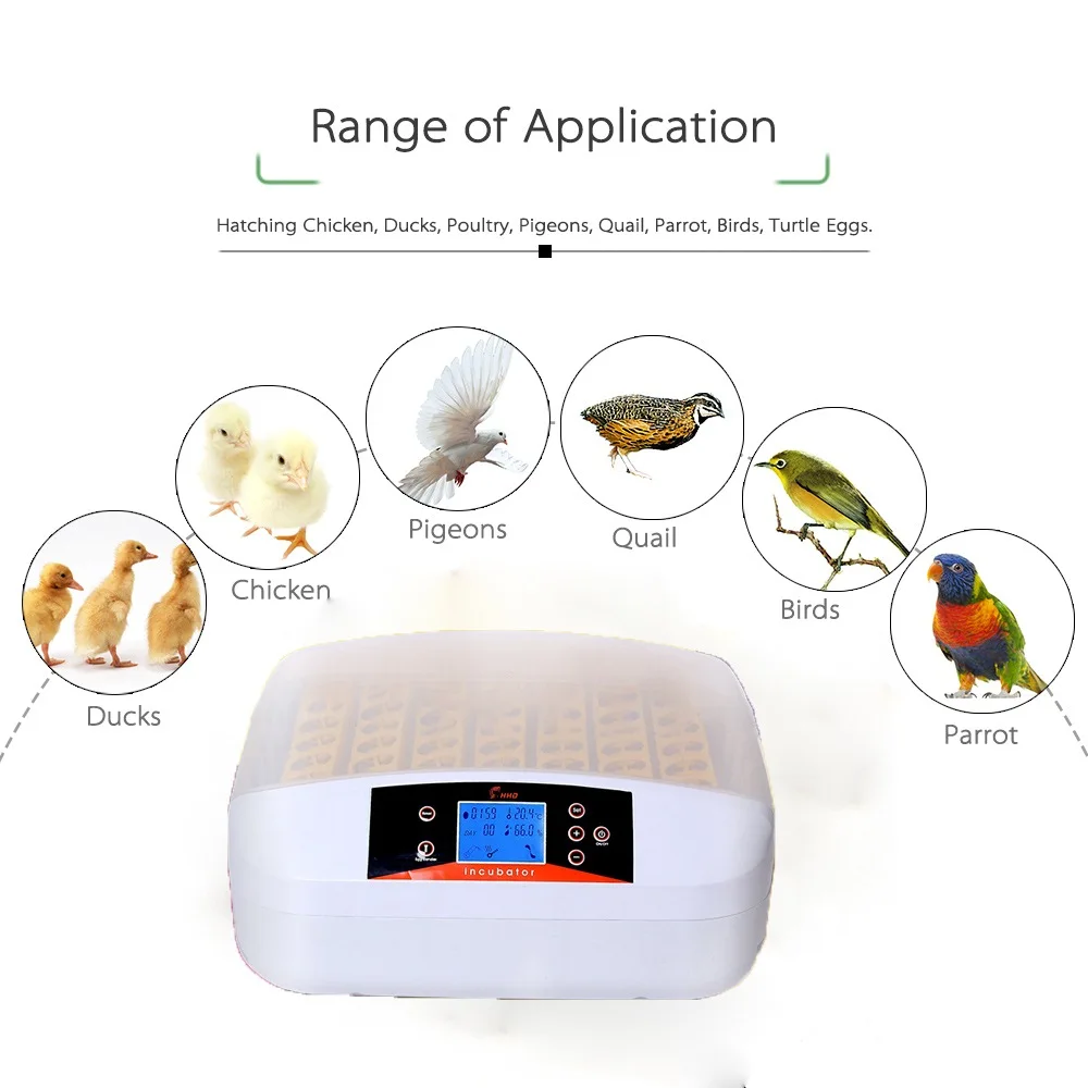 

80W 56 Eggs Digital Intelligent Auto Incubator Temperature Control Digital Poultry Hatcher Fully Automatic Farm Animal Carriers