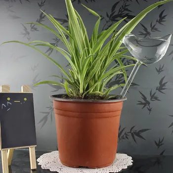 Birdy The Watering Bird Limited Offer Small Space Therapy