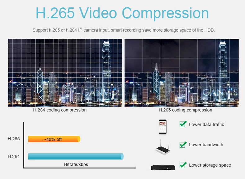H.265 NVR 01