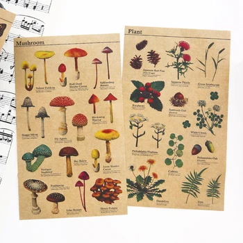 

36 pcs/Lot Retro Kraft paper sticker for Learning fruit vegetable plant insect animal Vintage Stationery School supplies F132