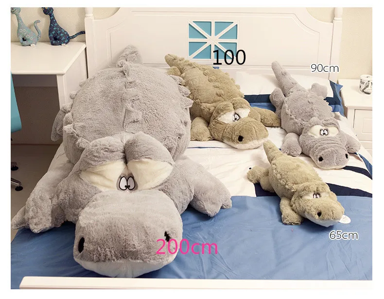 3000553092_1544728954