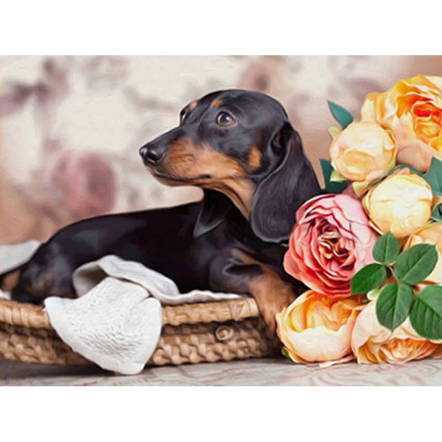 Dachshund Full 5D Diy Daimond Painting Cross-stitch Dog&Flower 3D Diamond Painting Full Rhinestones Paintings Embroidery Gifts - Цвет: Square