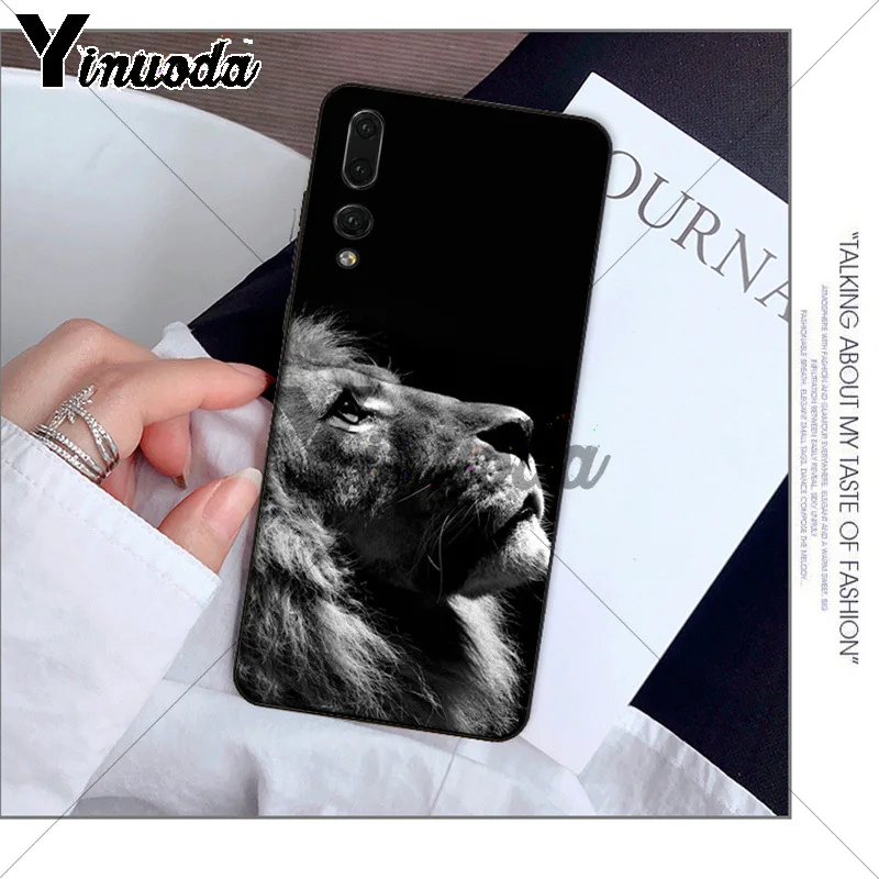 Animals The lion