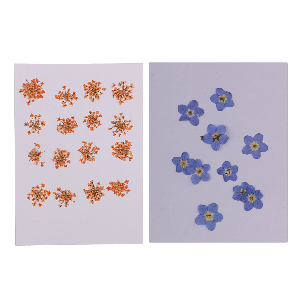 26pcs Natural Pressed Flowers Orange and Purple for Handmade Crafts Gifts Decor Charms Pendants Bracelet Making Ornaments