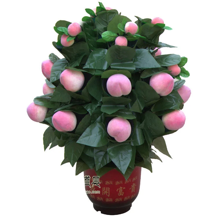 

Free Shipping 20 Blooming Peachs - Remote Control Magic Tricks