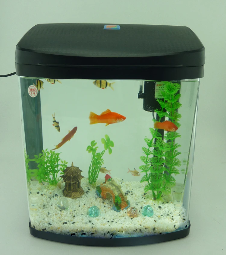 Fitch think font b tank b font aquarium eco ornamental tropical fish font b tank b