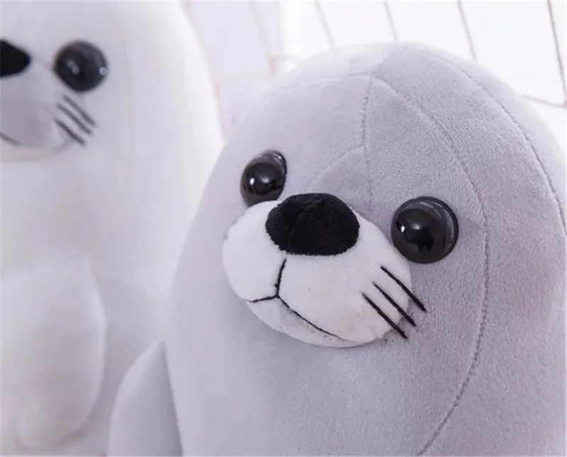 seal7