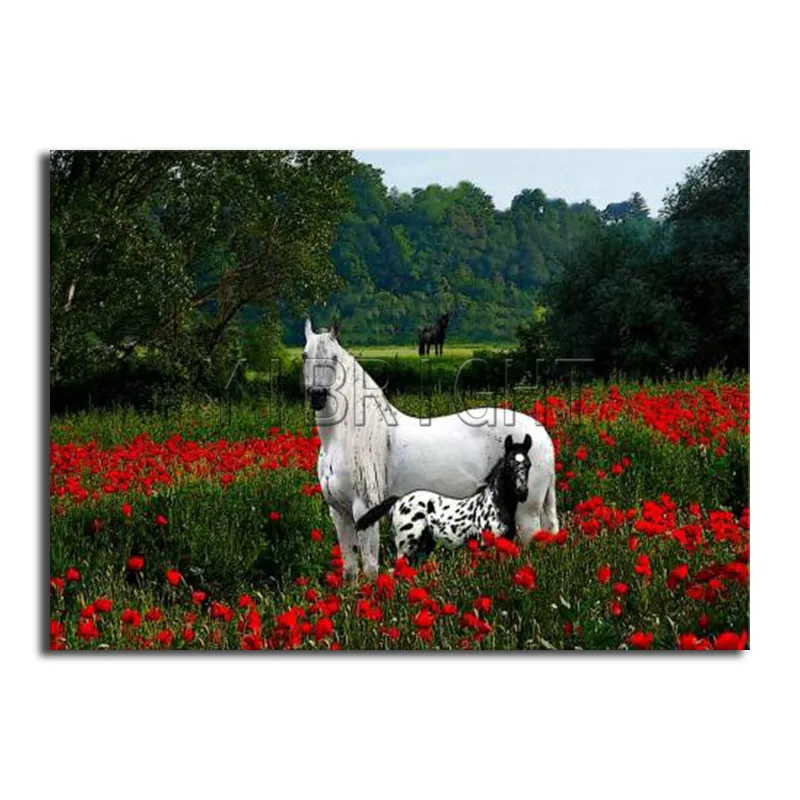 

Full Square Diamond embroidery Cross stitch Poppy Full Round Diamond mosaic horses DIY 3D Diamond painting landscape