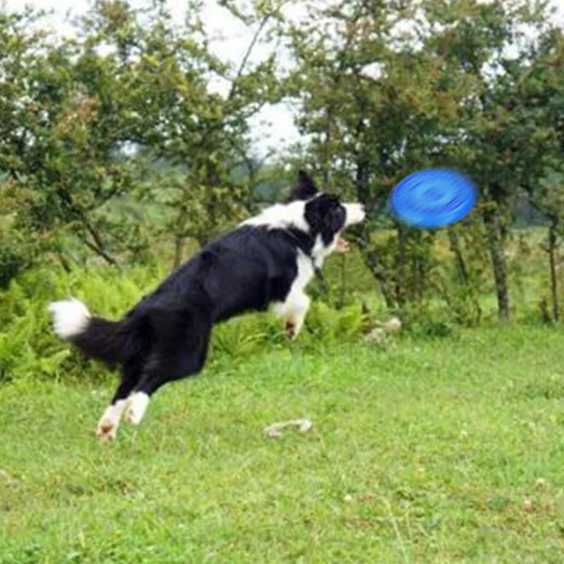 حار جديد الكلب طبق طائر لعب دغة مقاومة ممارسة يطير القرص التفاعل لجرو في الهواء الطلق FP8 حار جديد الكلب طبق طائر لعب دغة مقاومة ممارسة يطير القرص التفاعل لجرو في الهواء الطلق FP8