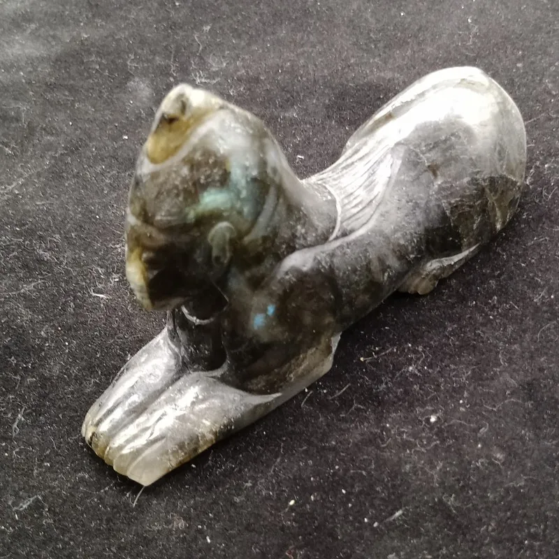 conew_img20190602164843