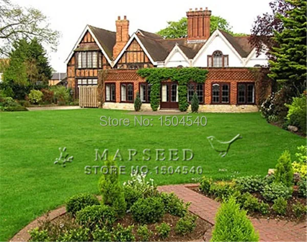 online get cheap festuca erba -aliexpress.com | alibaba group - Piccolo Giardino A Bassa Manutenzione online get cheap festuca erba -aliexpress.com | alibaba group - Piccolo Giardino A Bassa Manutenzione