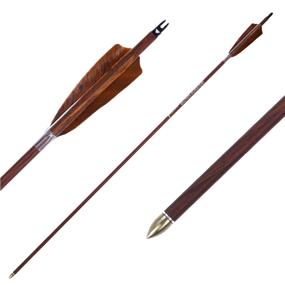 PANDARUS Darts Archery 31Inch Carbon Hunting Arrows 4-Inch Turkey Feather Fletching with Replaceable Points Targeting Practice