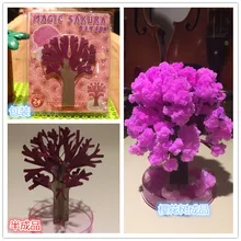 1pcs the magic growth tree magic growing paper sakura 12 12cm 50g funny kids gift science