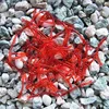 50PCS/Lot Smell red worm lures Red Earthworm Maggot Soft Plastic Fishing Lure Artficial Bait Bionic Worm Fishy smell for Fishing ► Photo 2/2