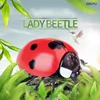 EBOYU Infrared RC Ladybird Kids IR Remote Control Ladybug Realistic Fake Ladybug Animal Toy Funny RC Prank Joke Scary Trick Toy 6