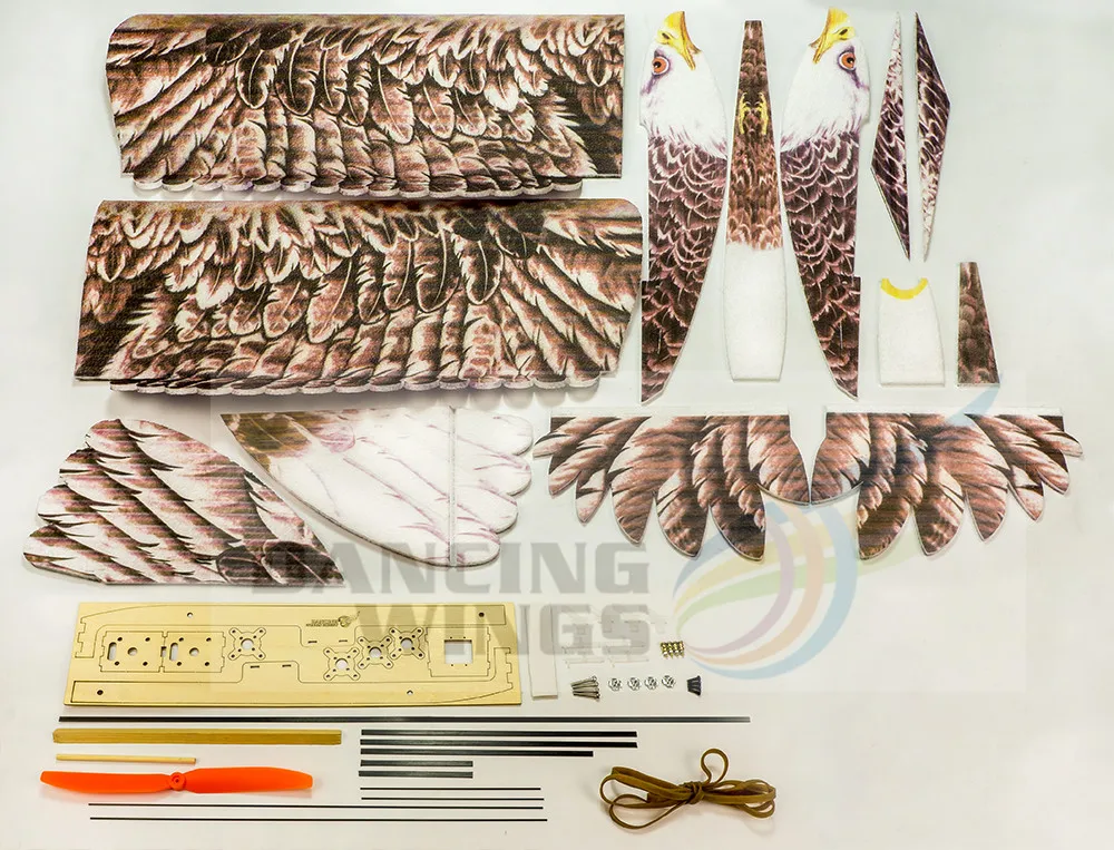 New Eagle Ii Wingspan 1430mm Dw Rc Airplane Epp Biomimetic Plane Model Eagle Slow Flyer Aircraft Model With Motor Esc Servo Rc Airplanes AliExpress