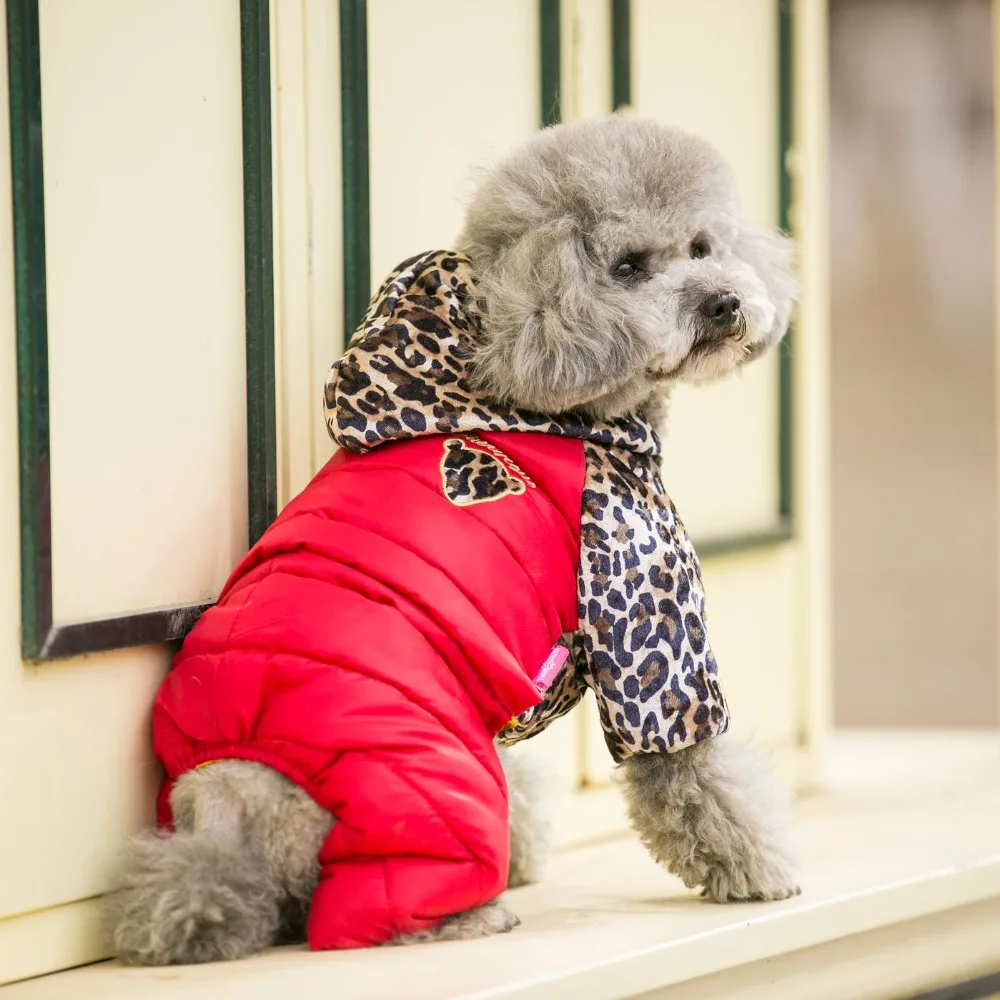 HTB1aDl5SFXXXXcDXFXXq6xXFXXXf