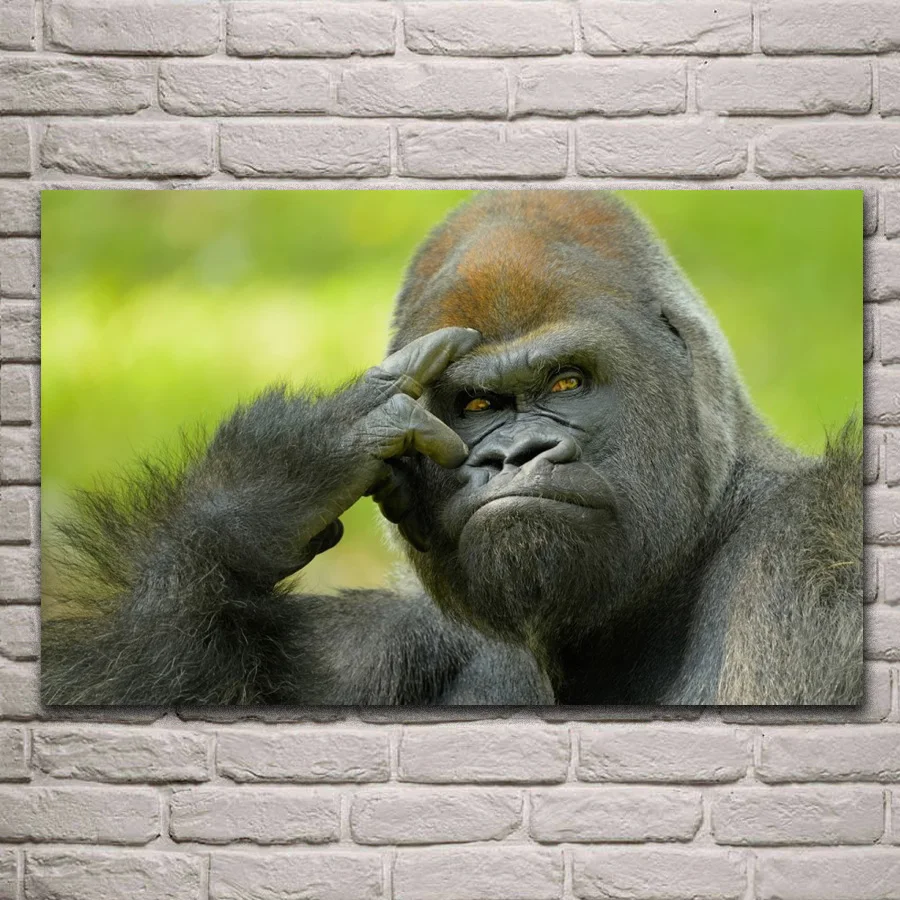 Gorilla Thinking Pose Poster Print House Decoration Animal Picture Quality Paper