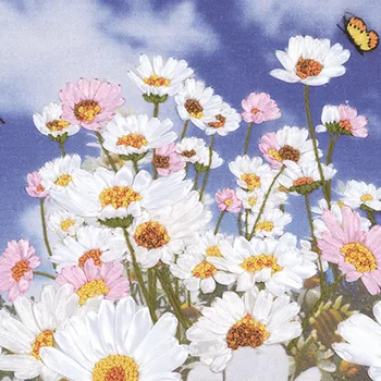 

50X45cm Flying dreams DIY 3d Cross Stitch Kit Needlework Unfinished Ribbon Embroidery Paintingtitching Craft Gift Wall Painting