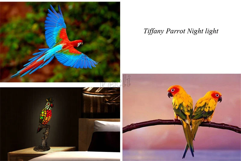 Bird night light (24)