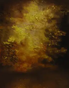 

Digital Studio Backgrounds 8*8ft Thin Fabric Photos Backdrops Vintage photo fond de studio toile de fond Newborn Backgrounds