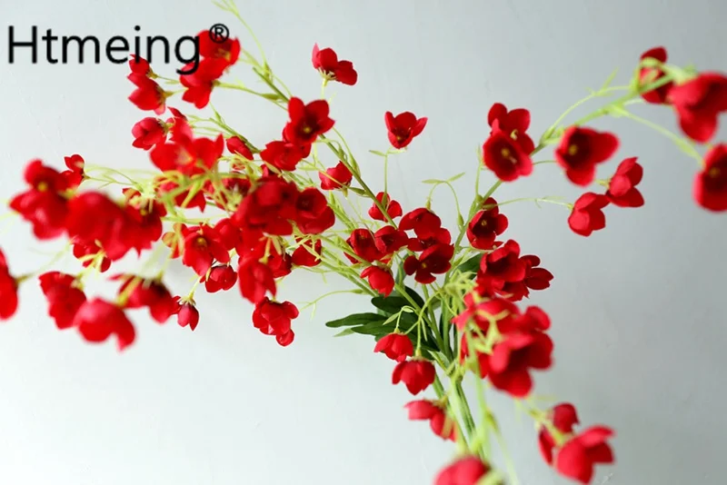 red (1)