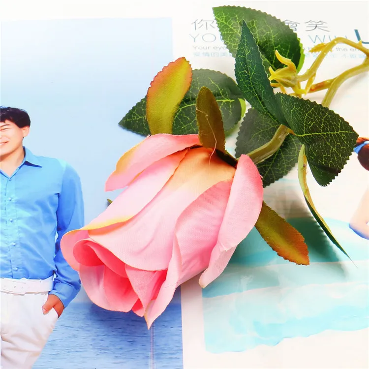 9164060102_1735480233