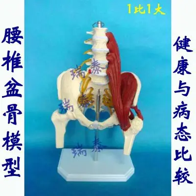 TB2T4kCiVXXXXcRXXXXXXXXXXXX_!!1589213735.jpg_.webp_400x400