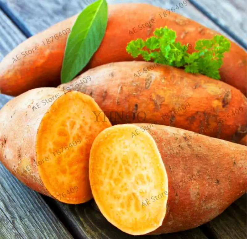 Бонсай 200 шт. фиолетовый сладкий картофель Ipomoea batatas вкусные растения без ГМО овощи для двора фермы посадки