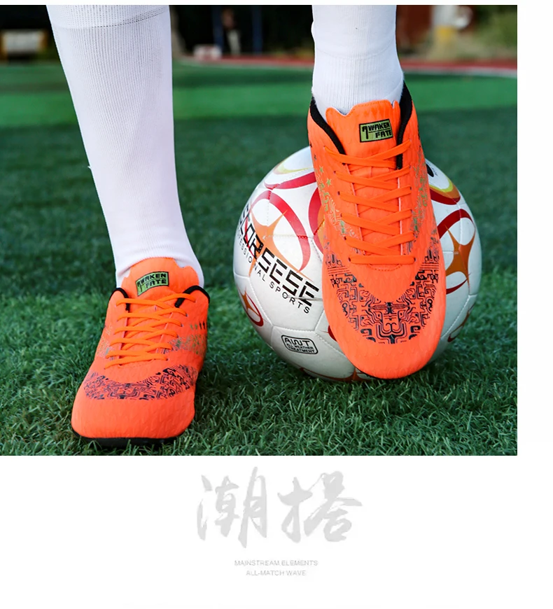 2 (11)