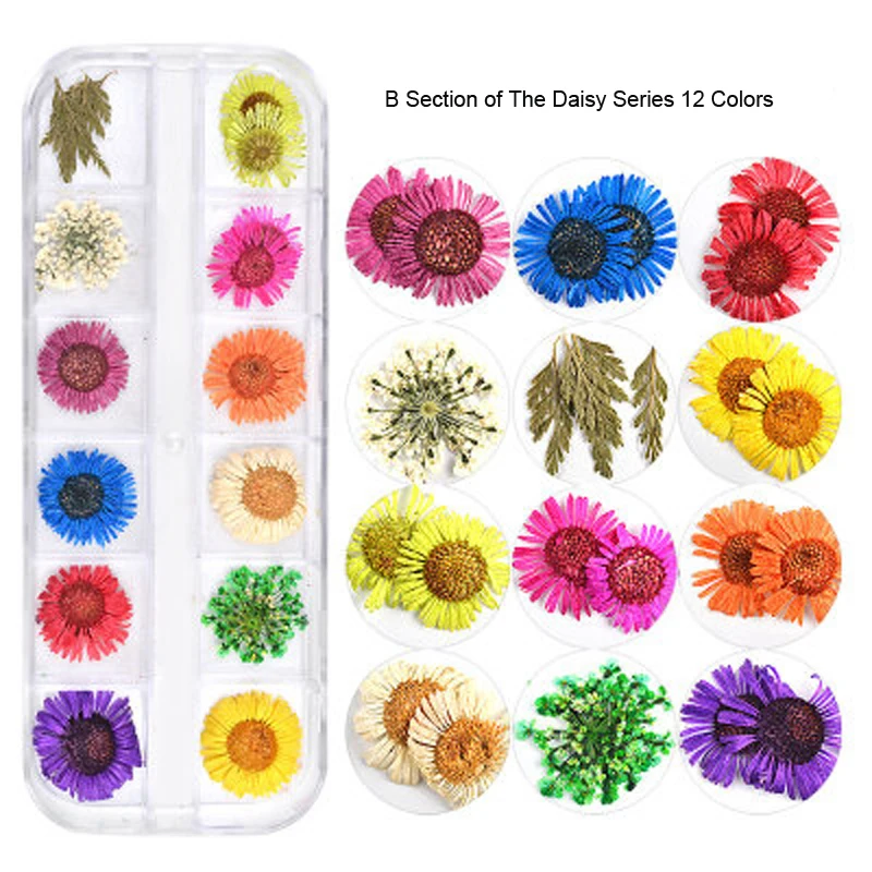 12 шт./кор. сушеные цветы Дизайн ногтей украшения 3D сухие натуральные Цветочные наклейки УФ-гель для маникюра красочные наклейки для ногтей