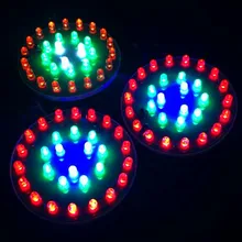 Высокое качество 2 шт/партия сверкающий светодиодный свет для больших змей с переключателем/светодиодный свет(лампа) с зажимом, 30 цветов света