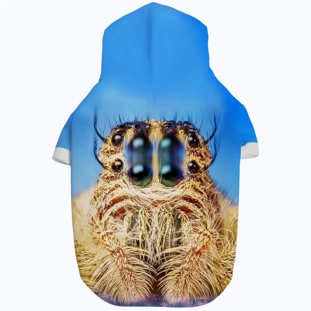 AYC0066