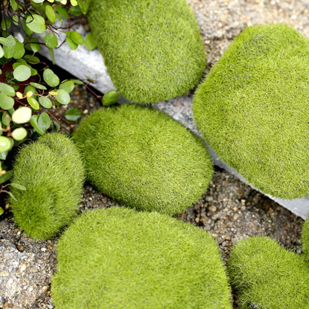 

Dropship artificial moss Imitation moss stone flocking lawn fluff fake stone shoot props factory