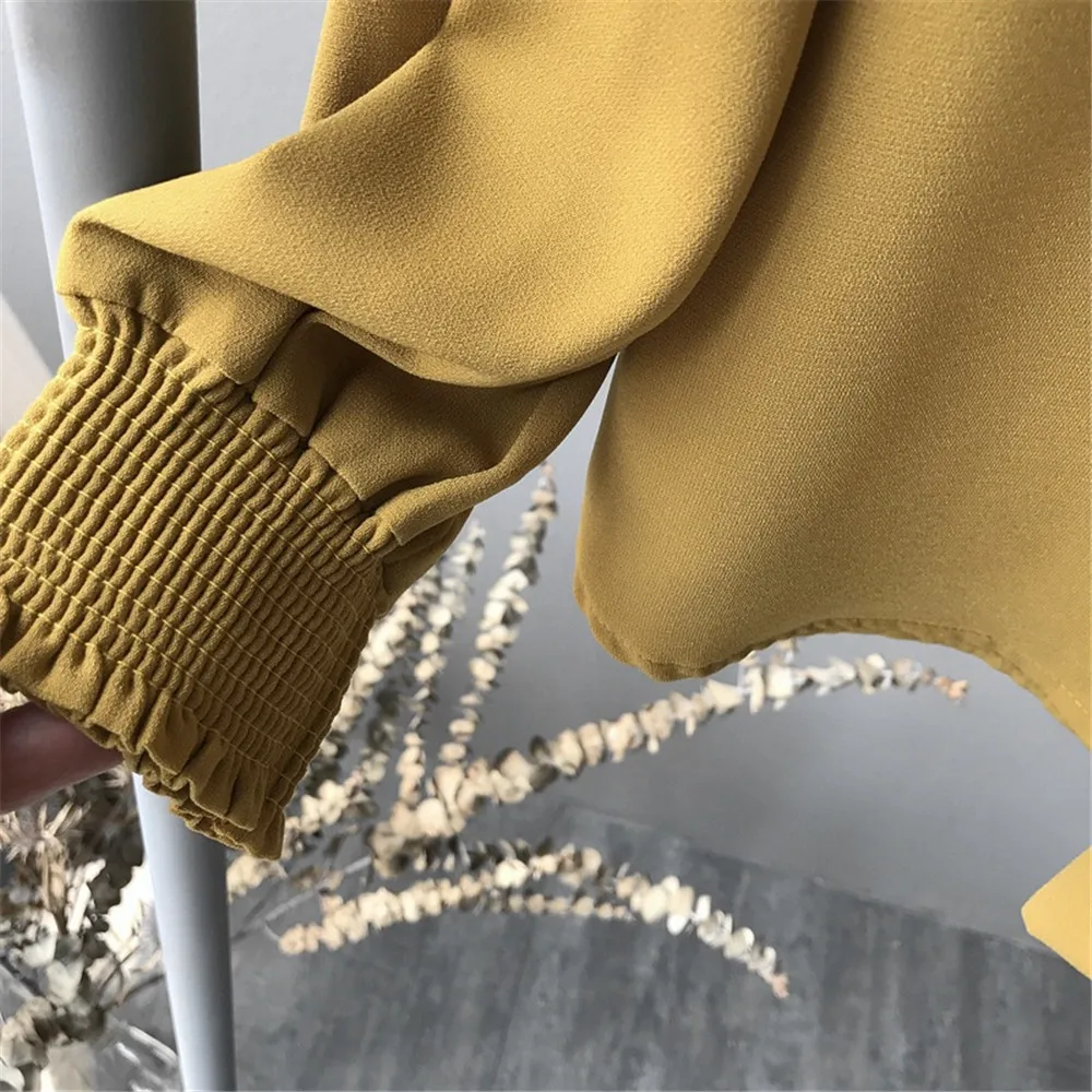 High quality Casual Chiffon Women blouse shirt Lantern Sleeve Office Work Shirts Blouse Solid Elegant Loose Tops Blusas (16)