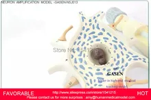 NEURONS AND NERVE FIBER STRUCTURE ZOOM MODEL MEDICAL ANATOMY SYSTEM NEURON ENLARGEMENT MODEL-GASEN-NSJ013