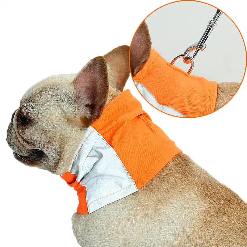 Night safety dog scarf collar